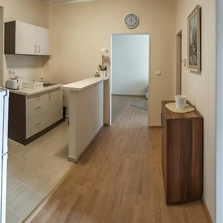 New Luxury Apartman Prága